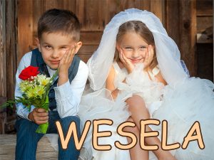 Wesela 1 300x225 - Wesela